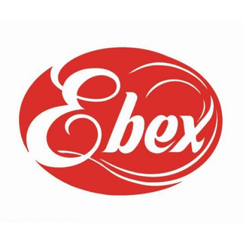 ESOFT - Ebex Ltd