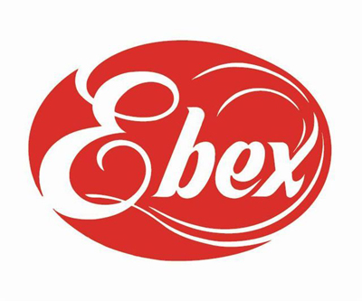 ESOFT – Ebex Ltd